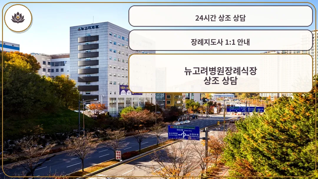 뉴고려병원 전경과 주변 풍경