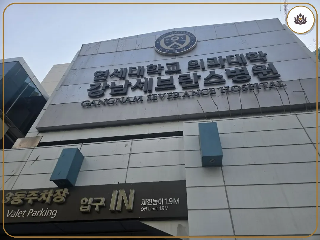 서울 강남구 연세대학교 강남장례식장 들어가는 길