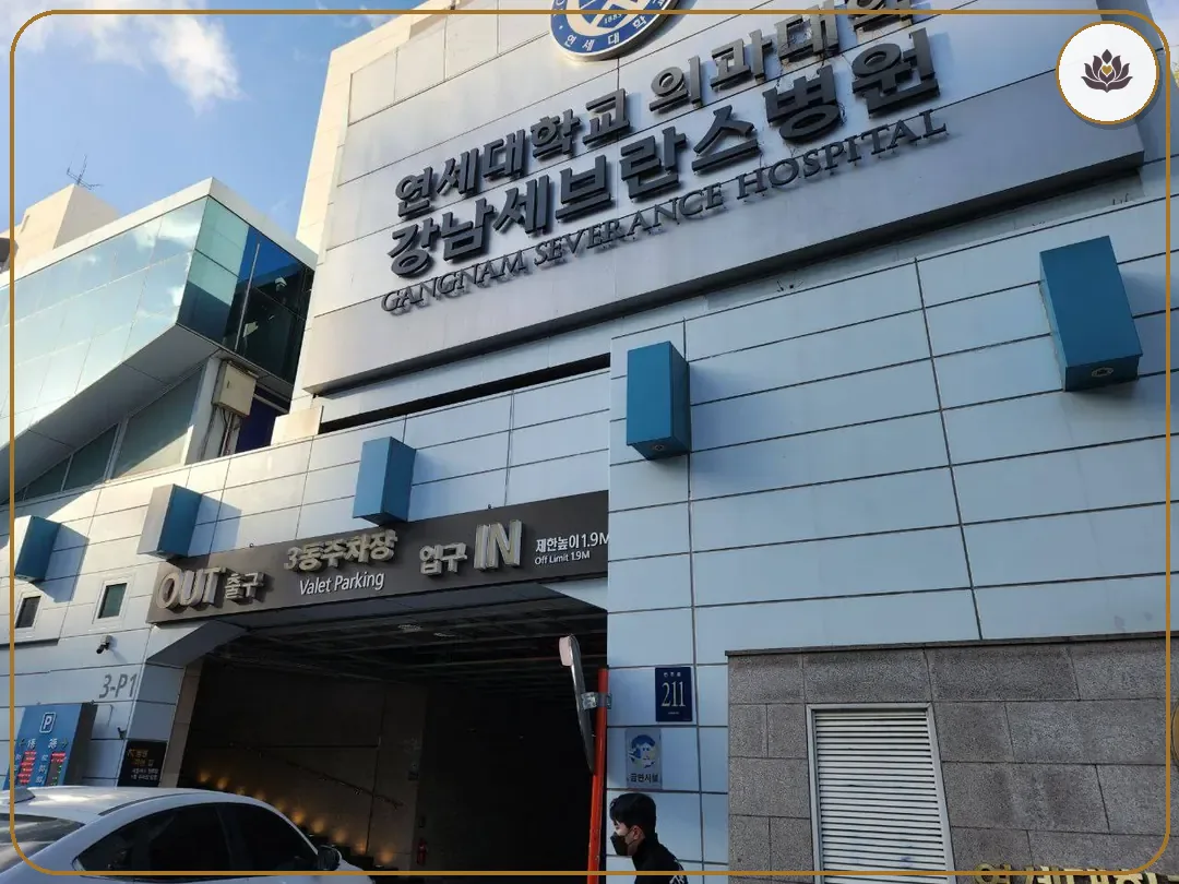 서울 강남구 연세대학교 강남장례식장 주변 컷