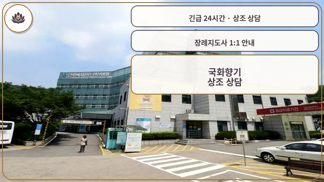 경기 안산시 국화향기 가족 안내 컷
