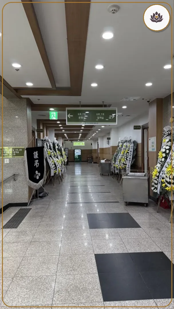 충북 청주시 청주의료원장례식장 주변 컷