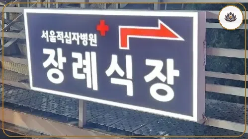 서울 종로구 서울적십자병원장례식장 주변 컷