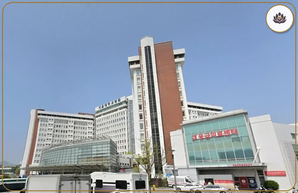 서울 종로구 서울대학교병원장례식장 주변 컷