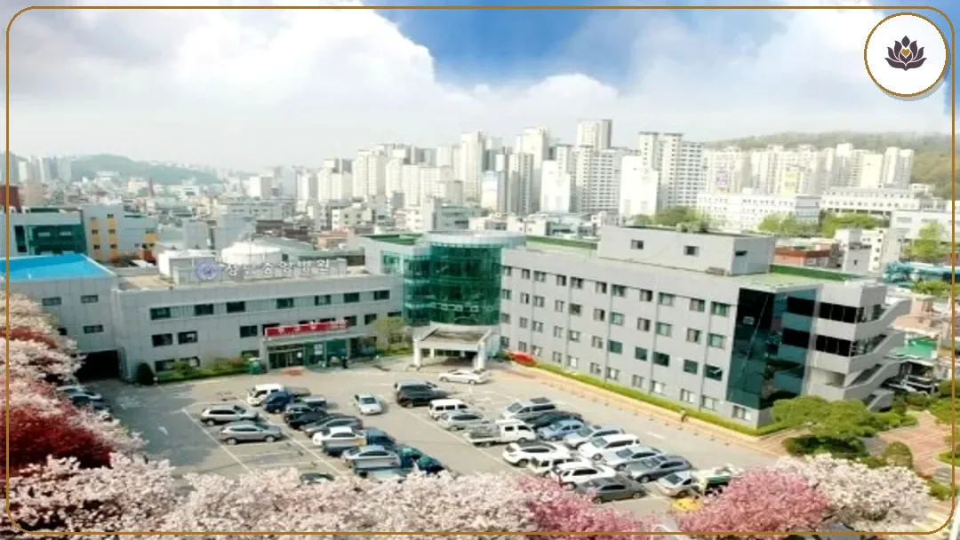 경기 성남시 성남중앙병원장례식장 주변 컷