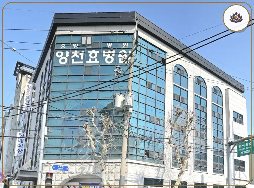 서울 양천구 양천효병원장례식장 주변 컷