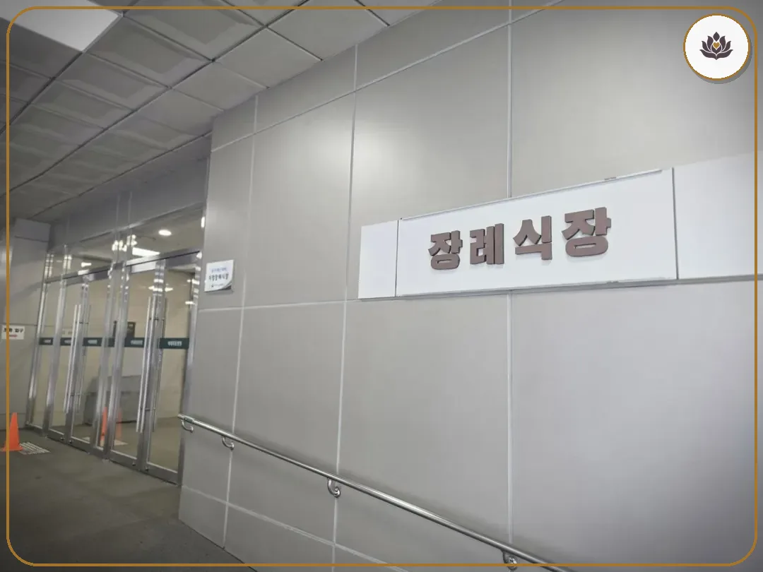 서울 양천구 이대목동병원장례식장 주변 컷